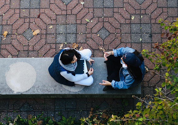 Two Gies students sit on a bench under a tree to have a discussion.